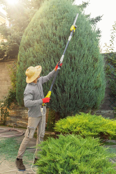 Best Lawn Pest Prevention  in Twin Lakes, VA